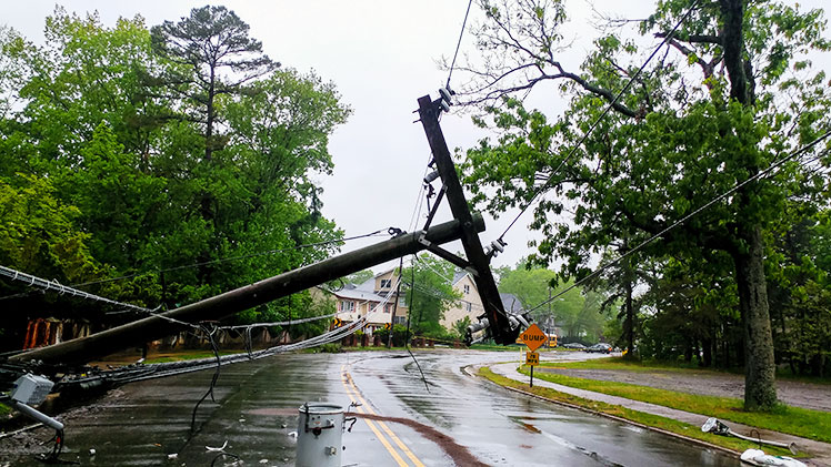 Powerline down on road